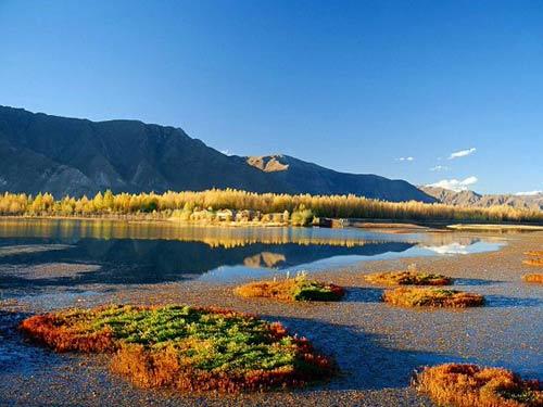 西藏纯玩游，不同的人不同的西藏