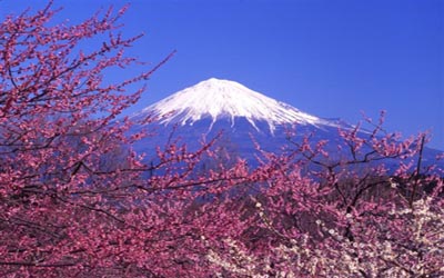 日本本州六天超值游