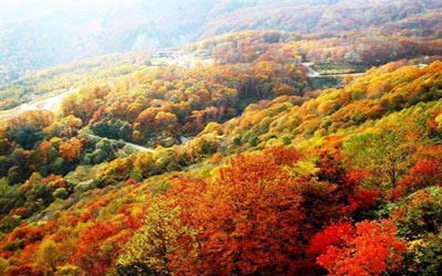 北京游